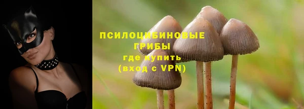 Альфа ПВП Нягань
