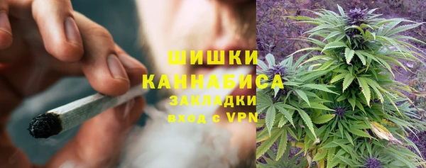 мескалин Няндома