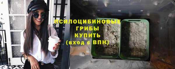 Альфа ПВП Нягань