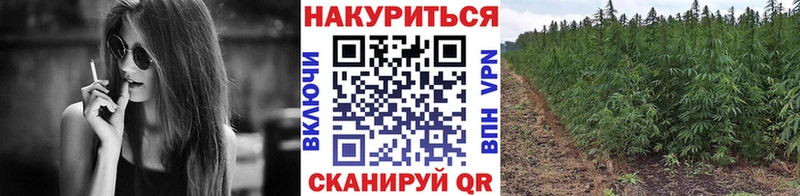 KRAKEN зеркало  наркота  Уржум  Марихуана конопля 